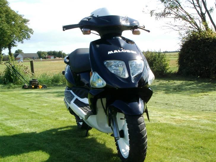 PGO DR. BIG (TILSALG!) billede 10