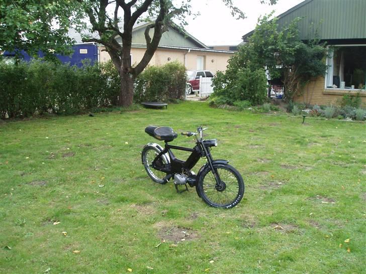 Puch Maxi K - TILSALG - Puch på besøg i haven (; billede 3