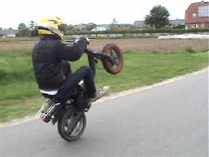 Suzuki fz  billede 11