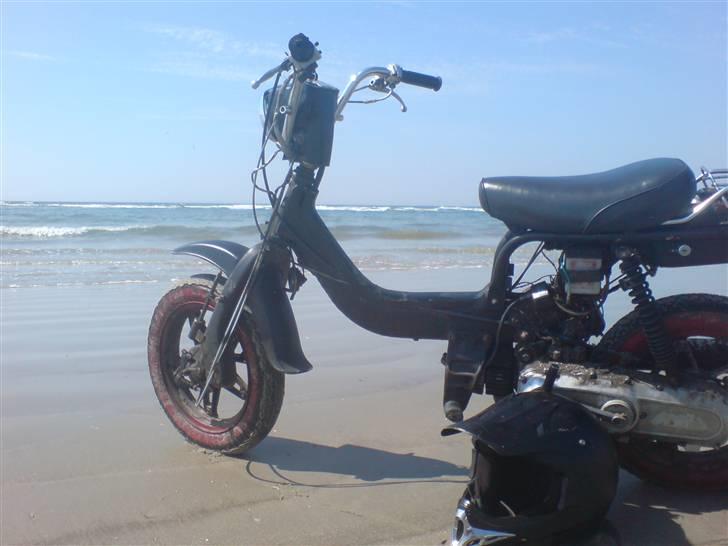 Suzuki fz  billede 15