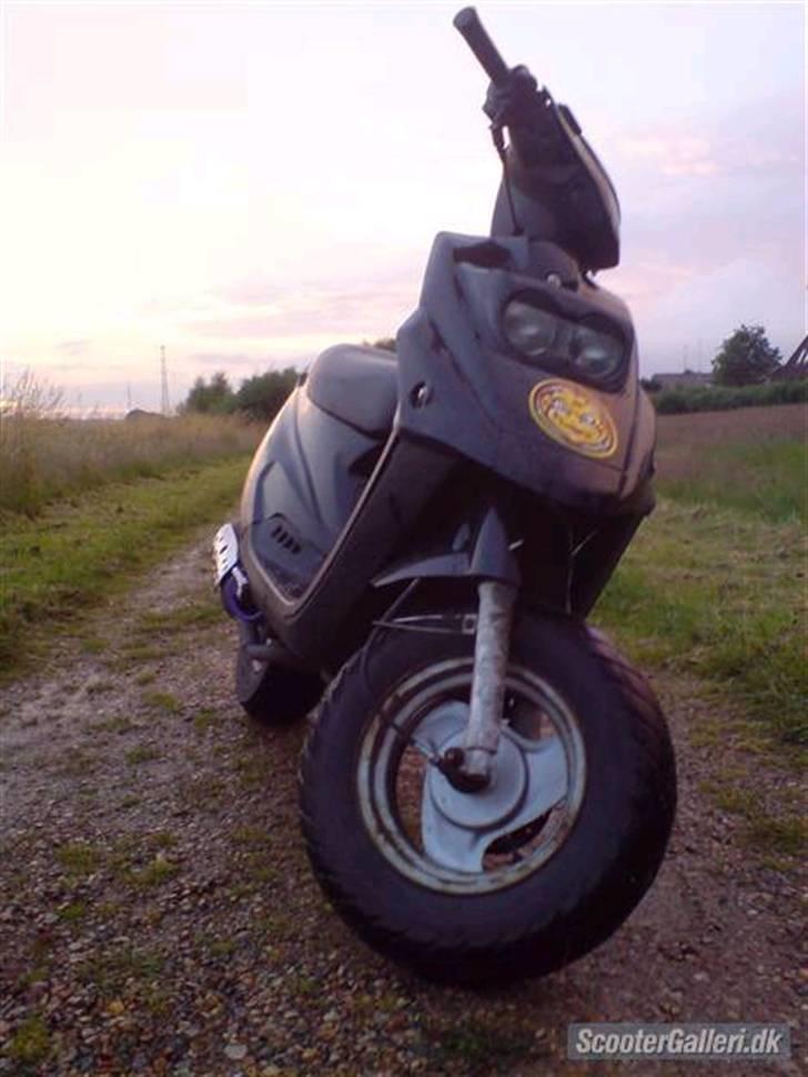 PGO Hot 50 solgt billede 3