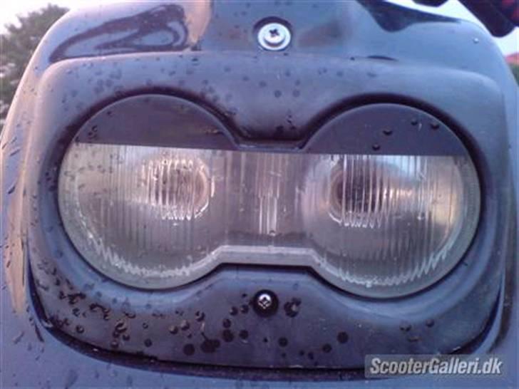 PGO Hot 50 solgt billede 7