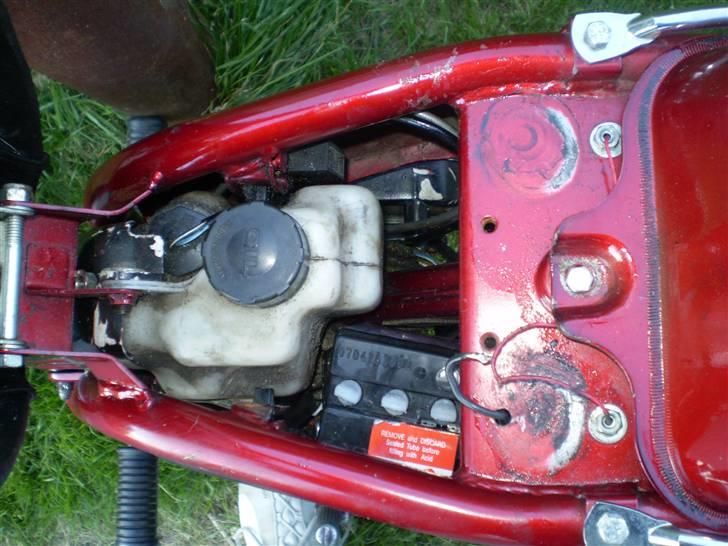 Suzuki FZ50 Rød/sort byttet billede 10