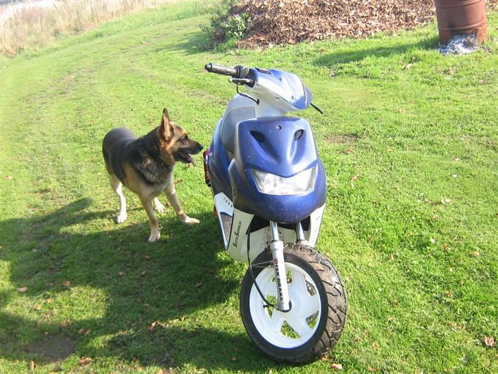 CPI >popcorn< - og så var den barge vild med min scooter billede 4