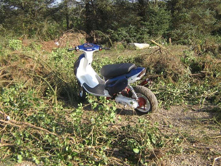 CPI >popcorn< - er hun ikke smuk billede 7