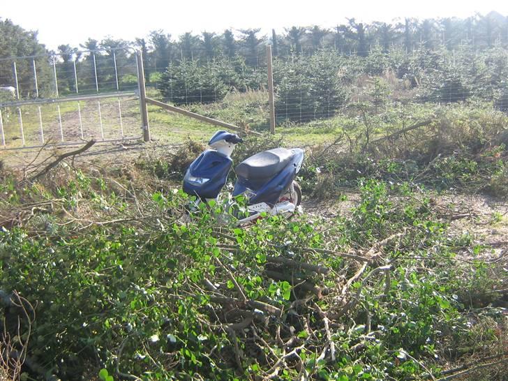 CPI >popcorn< - kunne se på hinde i timer billede 8