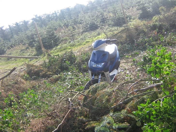 CPI >popcorn< - nyd hinde billede 9