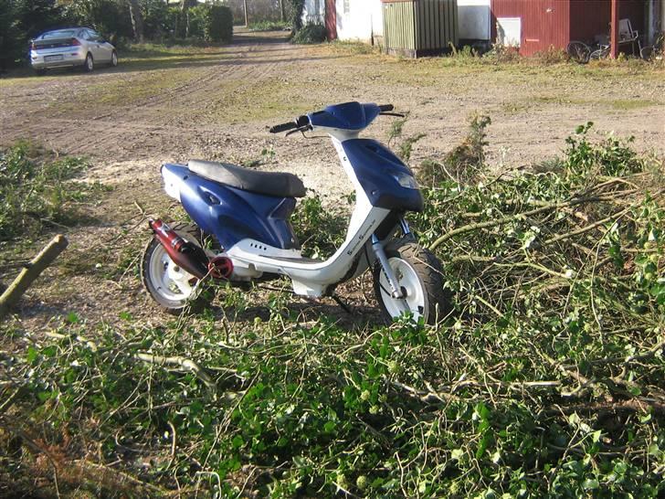 CPI >popcorn< - hun har været en slem pige billede 10
