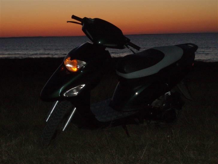 Honda sfx       - Nyt billede     mega godt billede nede ved stranden..! billede 7