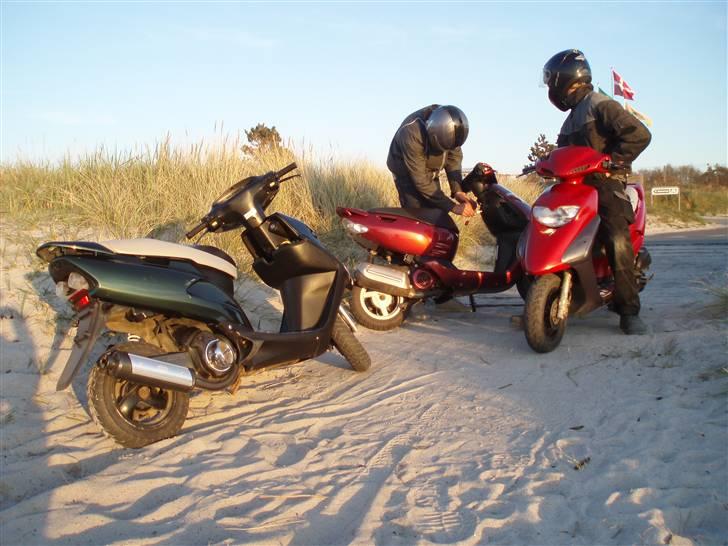 Honda sfx       - Nyt billede     Michael´s Aprilla Sonic  henrik´s og min Honda SFX billede 8