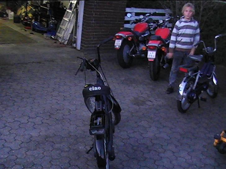 Vespa Caio SOLGT billede 8