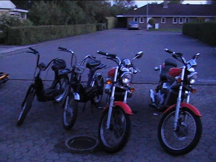 Vespa Caio SOLGT billede 11