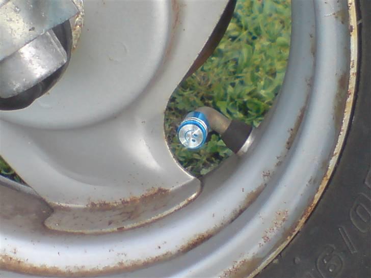 Adly silverfox *SOLGT! 3200kr* billede 7