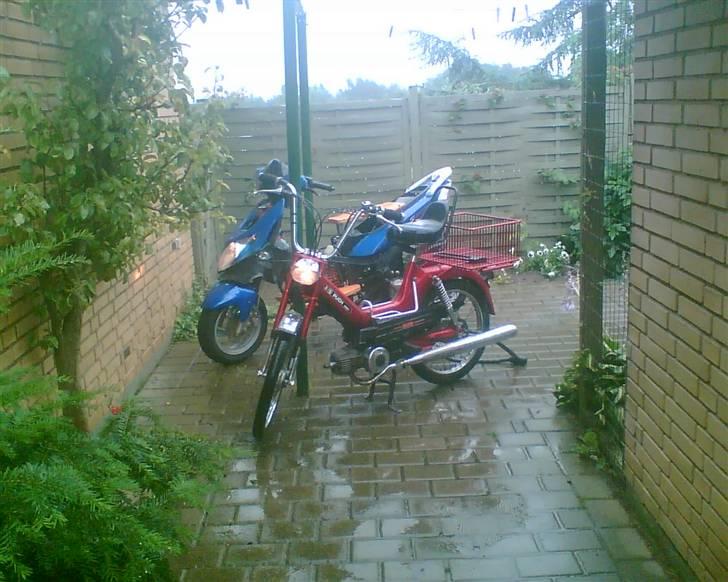 Puch Maxi S 2 gear Original billede 4