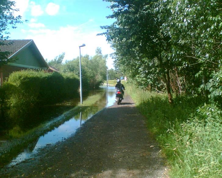 Yamaha FS 1 billede 5