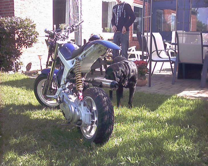 Suzuki Street magic **SOLGT** billede 4