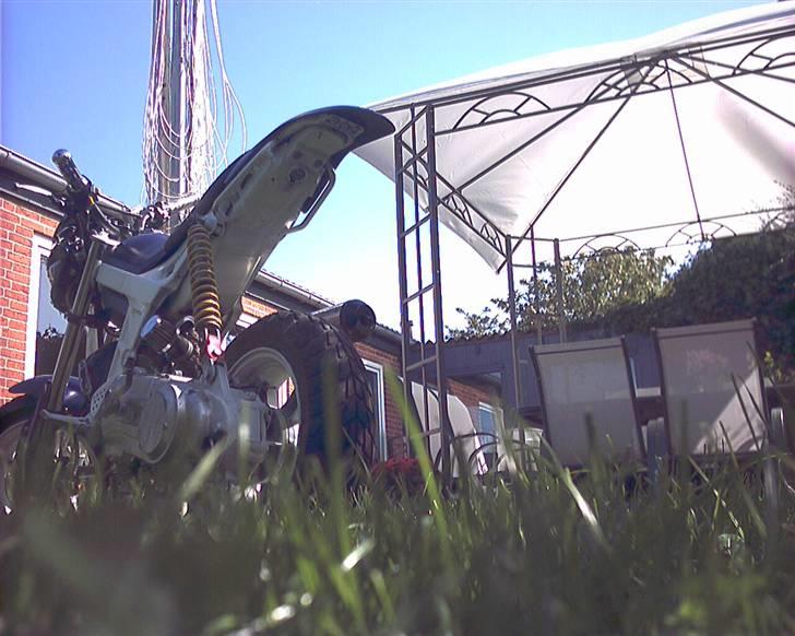 Suzuki Street magic **SOLGT** billede 5