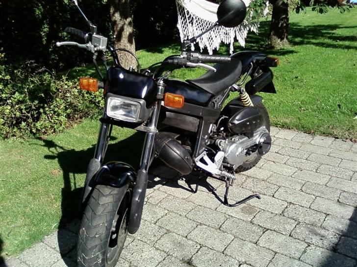 Suzuki Street Magic - Solgt billede 3