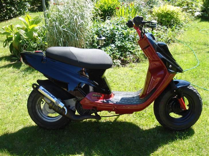 PGO hot autolakeret solgt billede 2