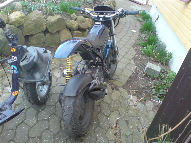 Suzuki street magic død - min nye kattekilling , den hedder sylvester stallone men kalder den bare john !! ;) billede 2