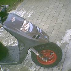 Piaggio (Typhoon) SMADRET.SÆLGES 