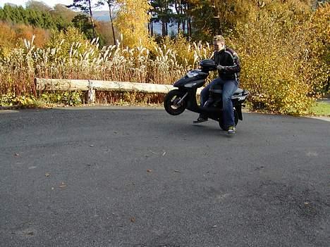 Honda sfx billede 10