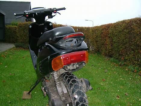 Adly cat TIL SALG< Team "4293" - lækker røv!!! eller!?!?!?! billede 3