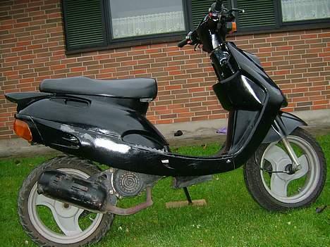 Adly cat TIL SALG< Team "4293" billede 2