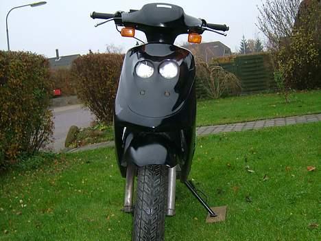 Adly cat TIL SALG< Team "4293" billede 4