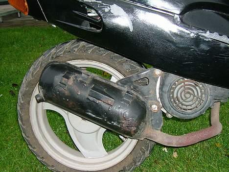 Adly cat TIL SALG< Team "4293" billede 5