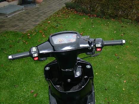 Adly cat TIL SALG< Team "4293" billede 8