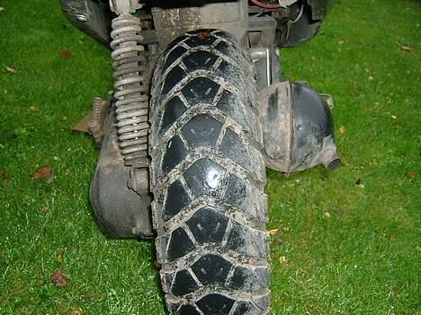 Adly cat TIL SALG< Team "4293" billede 6