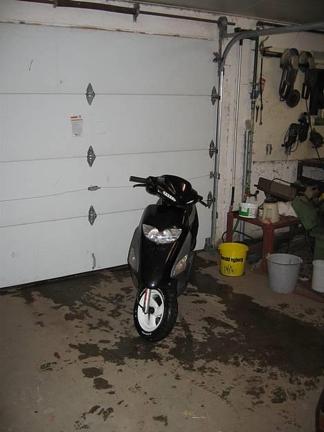 Honda SFX - Gammelt billed.. nye kommer snart. billede 1