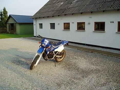 Suzuki SMX (Solgt) billede 8