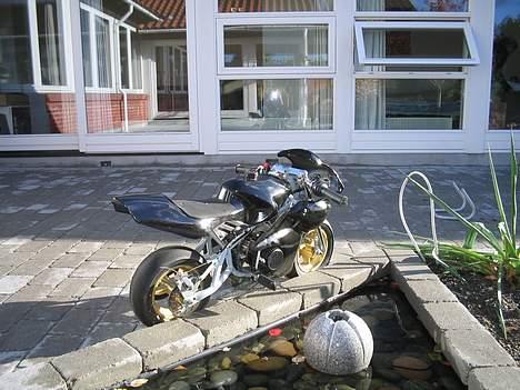 MiniBike "Det sorte lyn" billede 8
