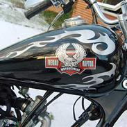 Regal raptor... slogt