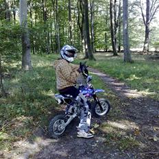 MiniBike PitPro PRO MOD solgt