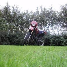 Suzuki Rmx *Før!*