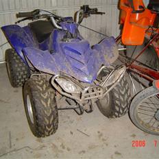 MiniBike 110CC ATV AC SD *SOLGT*