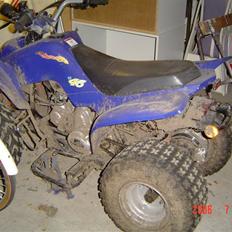 MiniBike 110CC ATV AC SD *SOLGT*