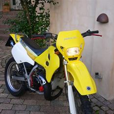 Suzuki RMX - Død.