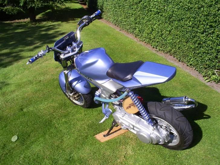 Suzuki Street Magic *SSM KONGEN* billede 7