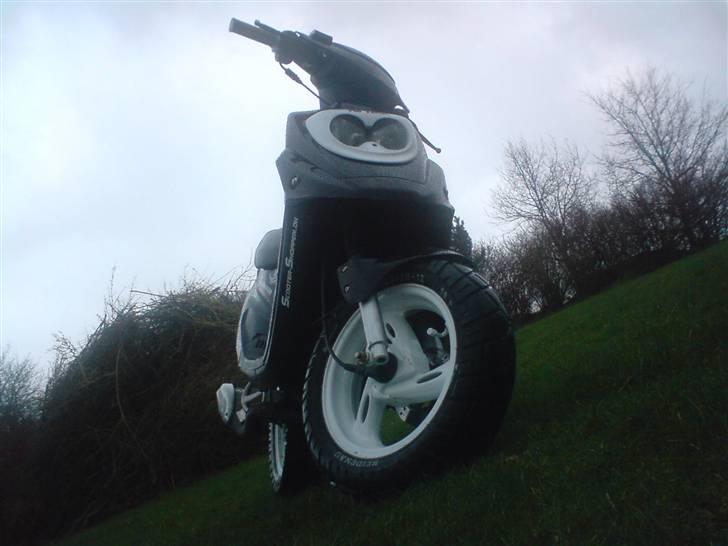 PGO Hot × 50 | Solgt - Hotten i frøperspektiv billede 1