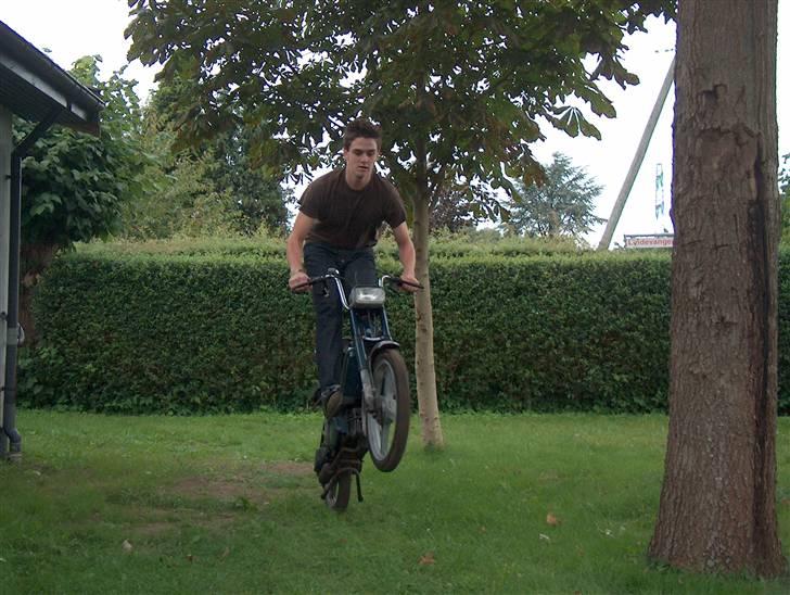 Piaggio Bravo [Byttet til sting] billede 8