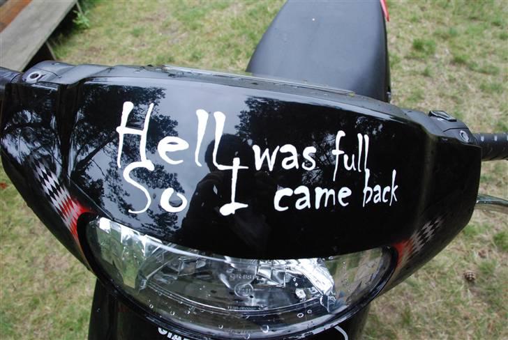 Giantco Sprint [SOLGT] billede 14