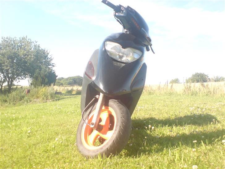 Honda SFX (solgt) billede 1