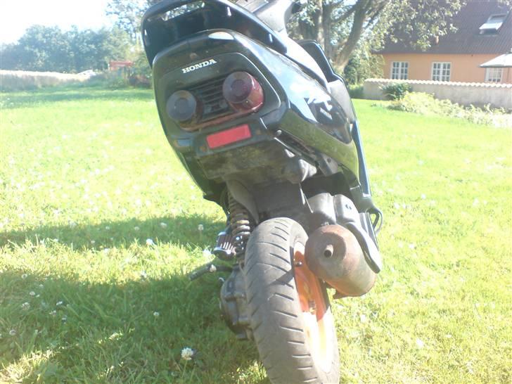 Honda SFX (solgt) billede 5