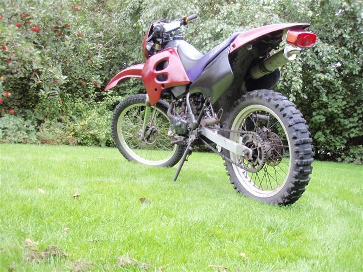Suzuki Rmx *Før!* billede 7