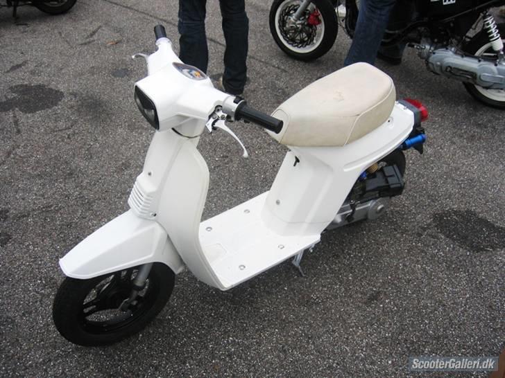 Honda Melody billede 1