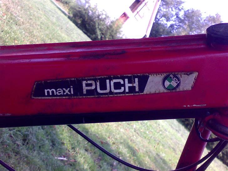 Puch Maxi K billede 9